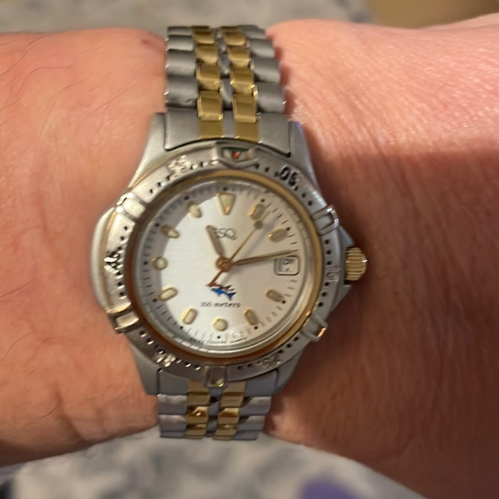 ESQ watch
